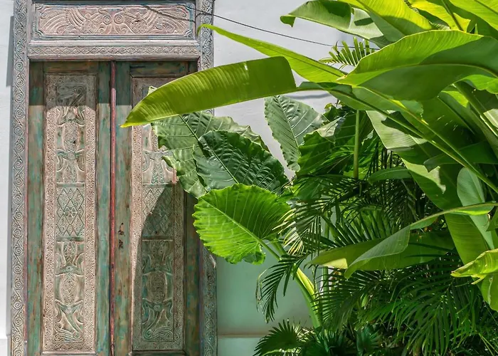 Dharma Bingin - Stunning 3br With Rooftop & Sauna In Bingin! Uluwatu (Bali)